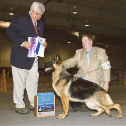 German Shepherds from DCAN's German Shepherds
