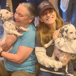 Dalmatian Puppies from 5 Alarm LUA Dalmatians