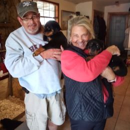 Rottweiler Puppies from Vom Jobaer Rottweilers