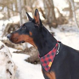 Raj - Doberman Pinscher