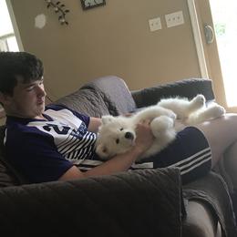 Samoyed Puppies from Kenjo Samoyeds
