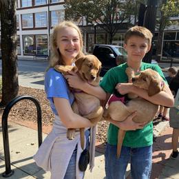 Labrador Retriever Puppies from Spring Water Labs of the Carolinas