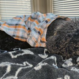 Goldendoodles and Poodles from Lee’s Pups & Cuts