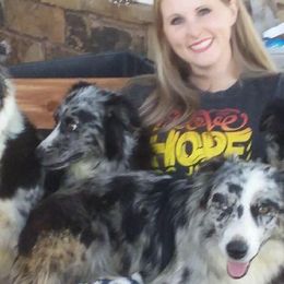 Australian Shepherds from Ash Ranch Aussies