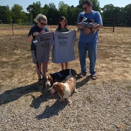 Basset Hound Puppies from Redbud Ranch Basset Hounds