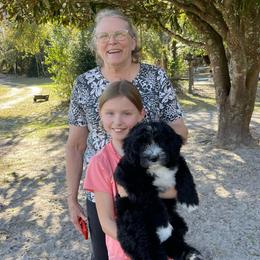 Pink - Black and white female Sheepadoodle puppy in Archer, Florida from Gainesville Sheepadoodles
