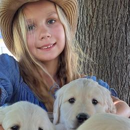 Baby Boy 2 - Light golden male Golden Retriever puppy in Loomis, California from Davids Golden Retrievers