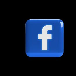 Miniature Schnauzer Puppies from PartiLife Miniature Schnauzers