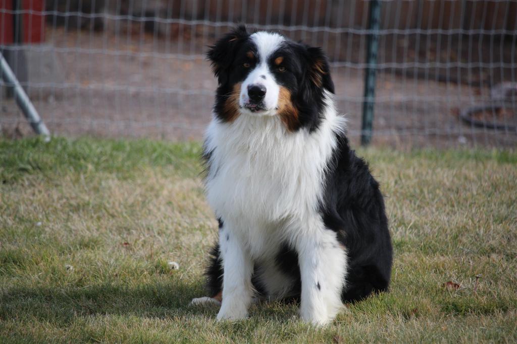 Unnamed