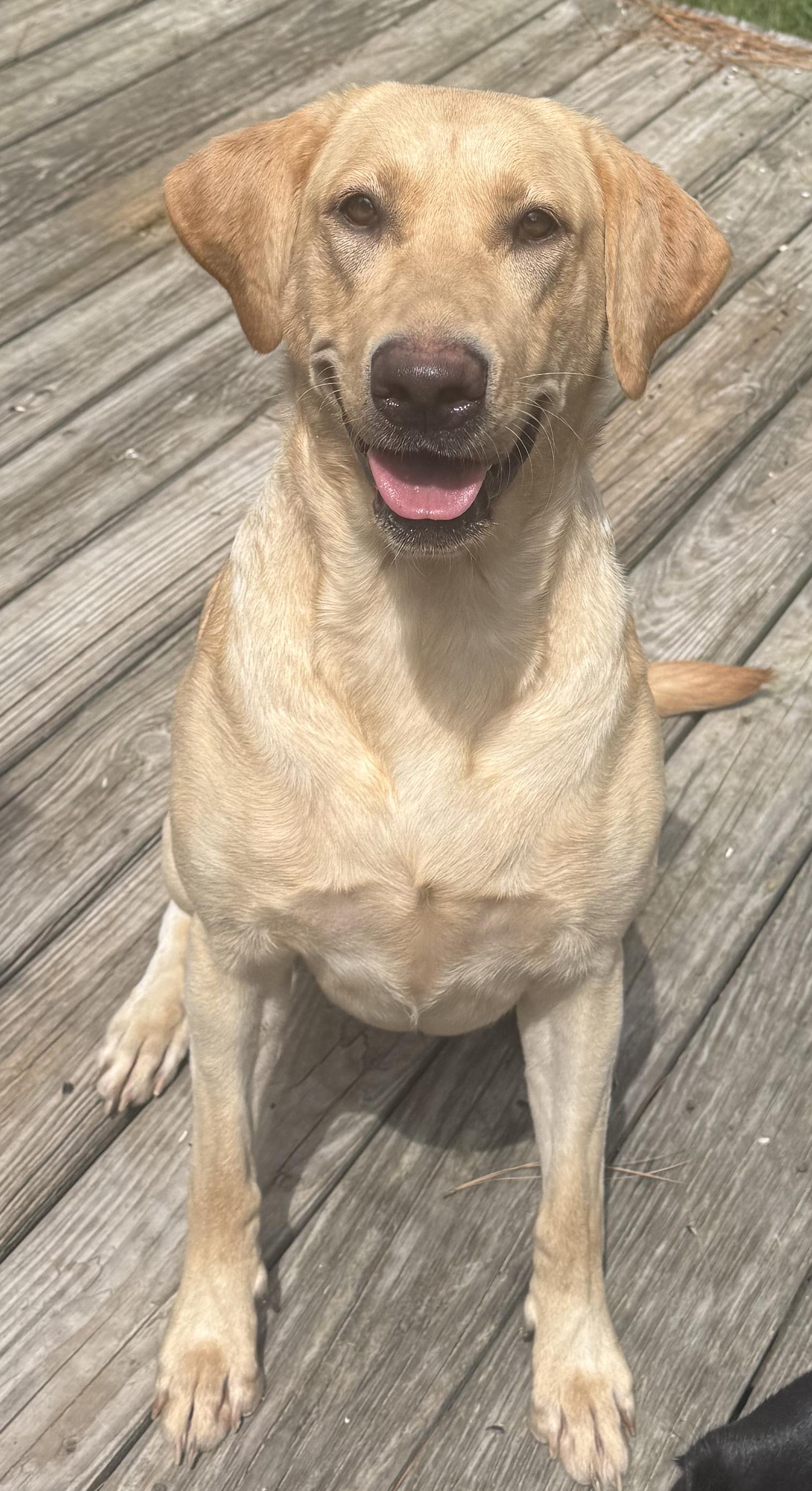 Janie