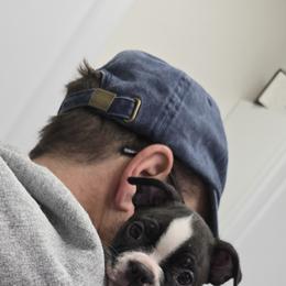 Pink collar - Black and white female Boston Terrier puppy in North Branch, Michigan from K & B Boston's