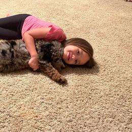 Poodle All Grown Up from Tri-state poodles & Doodles