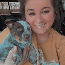 Australian Cattle Dog Puppies from Cowboy Tuff Stock Dogs