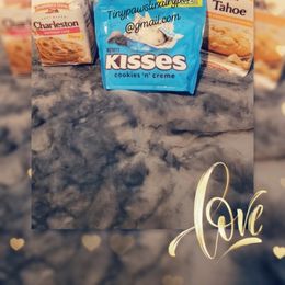 Biewer Terrier, Poodle, and Yorkshire Terrier Puppies from Tiny Paws Luxury Pets