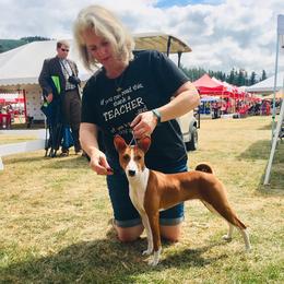 Basenji and Italian Greyhound Puppies from Khani's Basenjis and Italian Greyhounds