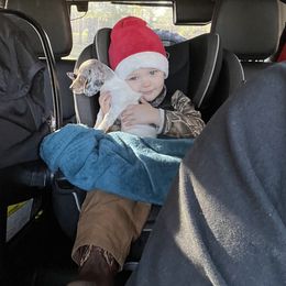 Dachshund Puppies from Jag Fam Dachshunds