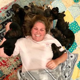 German Shepherd Puppies from Keys K9s