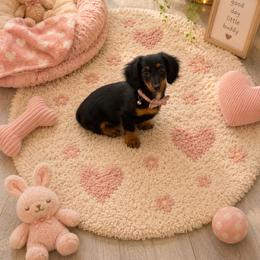 Lilly Mae - Black and tan female Dachshund puppy in North Fort Myers, Florida from Trust Fund Devil Kennel