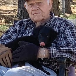 Nacho - Black and white male Aussiedoodle puppy in Nacogdoches, Texas from BA Mini Poodles