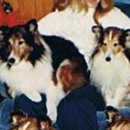 Shetland Sheepdogs from Dixie's Shelties