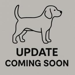 Thumper - Black tan and white male Beagle puppy in Rose Bud, Arkansas from Rajun Cajun Kennels