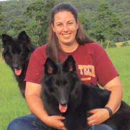 Belgian Sheepdogs from Wildmour Kennels