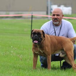 Boxers from Alfabox Boxers