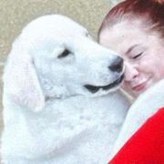 Kuvasz and Pumi All Grown Up from Ederra (Kuvasz and Pumi)