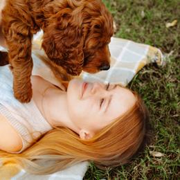 Goldendoodle Puppies from Bows & Ties Doodles