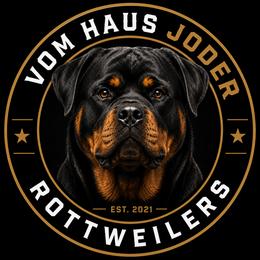 Rottweilers from Vom Haus Joder Rottweilers