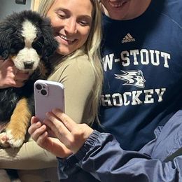 Bernese Mountain Dog Puppies from Lonesome Pine Farm