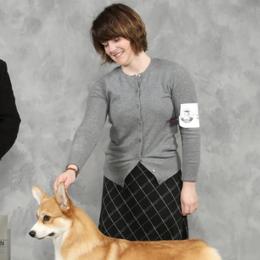 Pembroke Welsh Corgis from Pemhill Corgis
