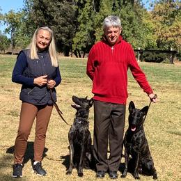 Dutch Shepherd All Grown Up from Sylviane Wildflower DSK (Dutch Shepherd Kennel)