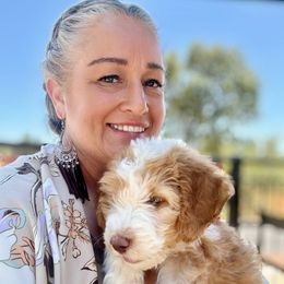 Tex XL Bernedoodle - Red male Bernedoodle puppy in Lookout, California from Remington Kennels, LLC