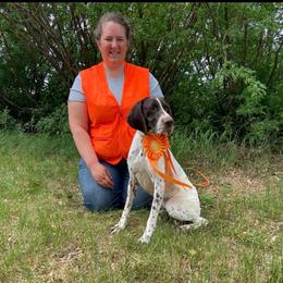 Holly - German Shorthaired Pointer