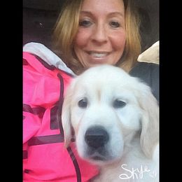 Golden Retriever Puppies from HuesofGold Halos