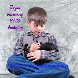 Joyce - Black female Newfoundland puppy in Cortez, Colorado from Bear Heart Newfoundlands, LLC