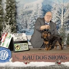 Ruthie - English Toy Spaniel