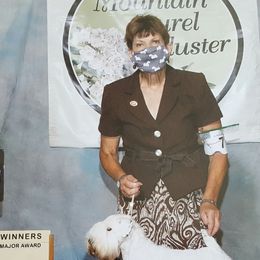 Sealyham Terriers from Alazars Dobermans and Sealyhams