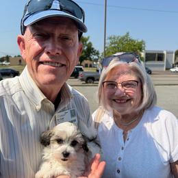 Brandon-Bandit - Parti male Maltipoo puppy in Lawrenceburg, Tennessee from LUV Poodles and Maltipoos