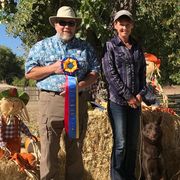 Australian Kelpies and Rat Terriers from Walkabout Australian Kelpies and Rat Terriers