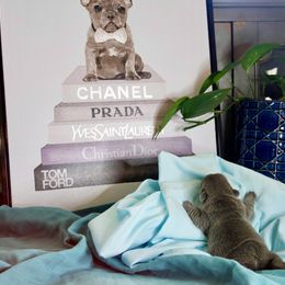 French Bulldog Puppies from GBPGENETICS