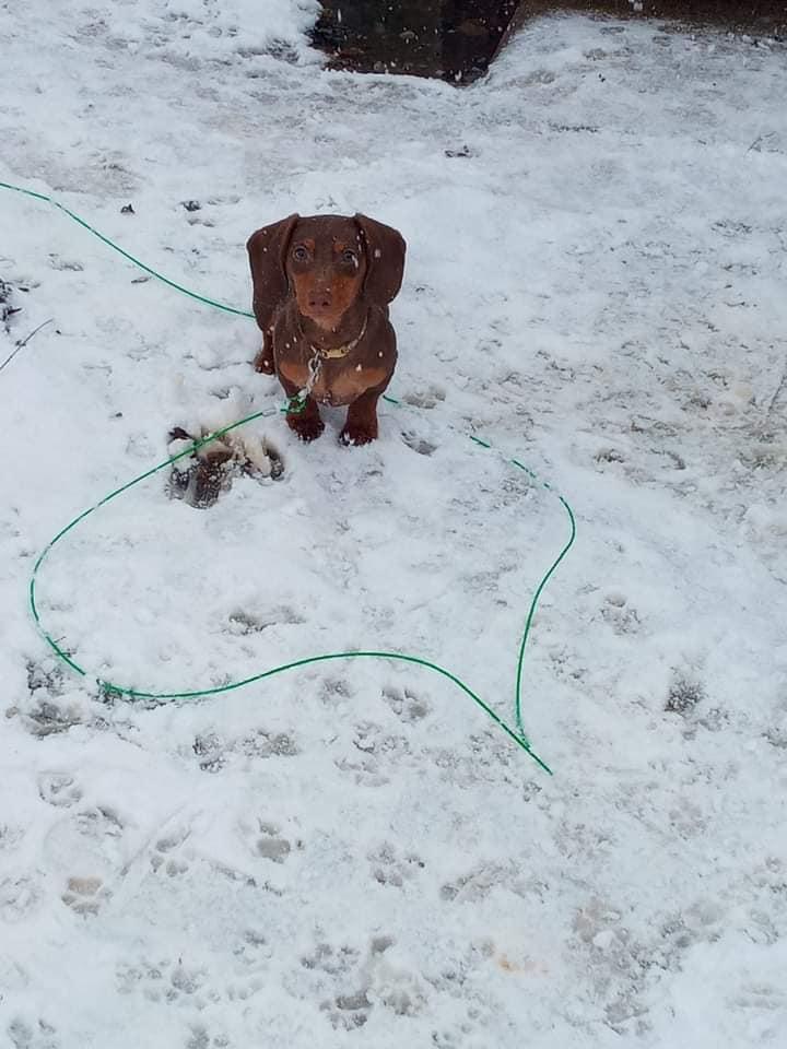 Charlie