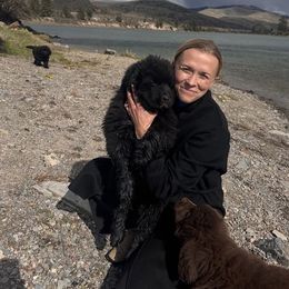 Newfoundland Puppies from Lonepine Newfoundlands