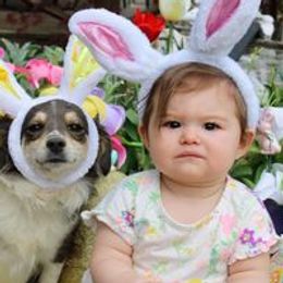 Sarah Beth - Miniature Australian Shepherd