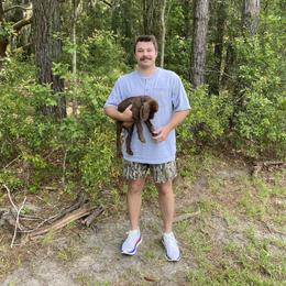 Pudelpointer Puppies from Bent Tree Pudelpointers