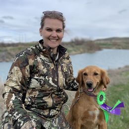 Danni - Golden Retriever