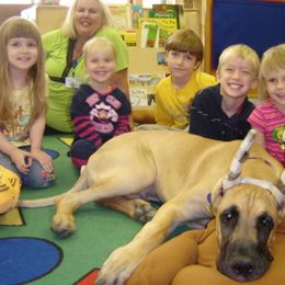 Great Dane Puppies from DiolaDanes