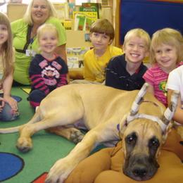 Great Dane Puppies from DiolaDanes
