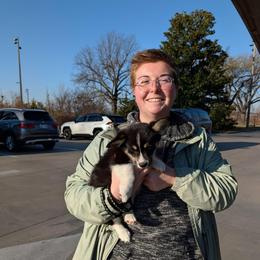 Kix - Black and tan male American Corgi puppy in Shawnee, Oklahoma from Sunray Ranch